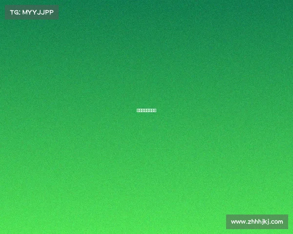 网球赛事报告总结